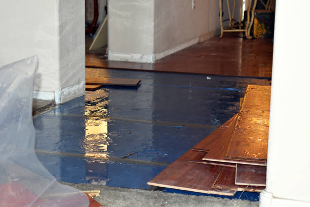 Professional Water Damage Restoration technician working in Badger, CA